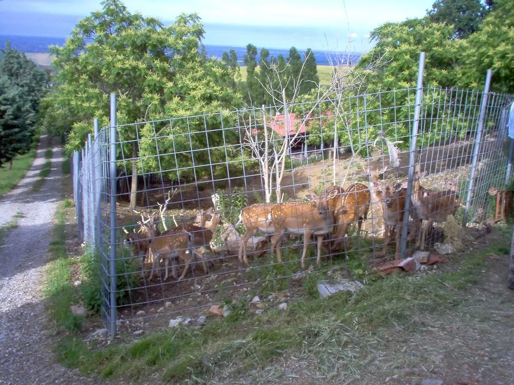 Farm stay Agriturismo Monte Valbelle Villa Castrocaro Terme Italy
