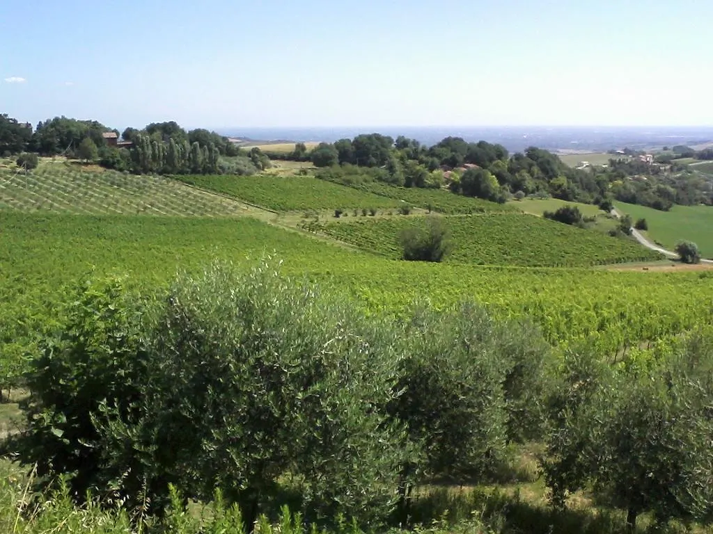Agriturismo Monte Valbelle Villa Castrocaro Terme